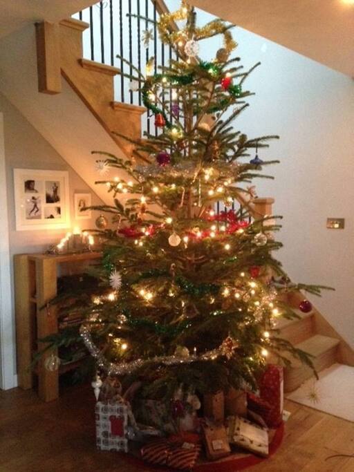 There's no place like home for Christmas