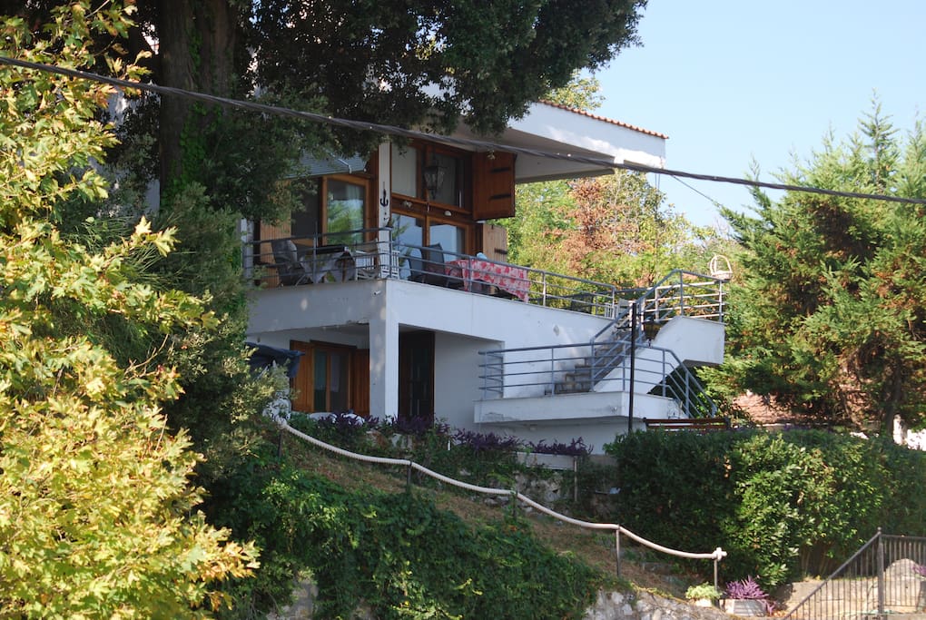 Our property