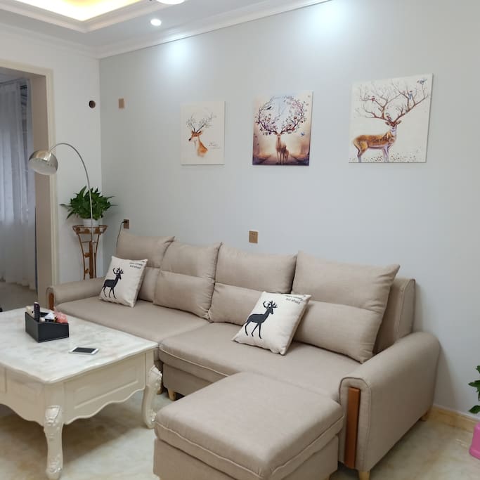 超大客厅(large living room )