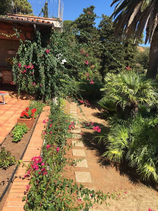 Giardino