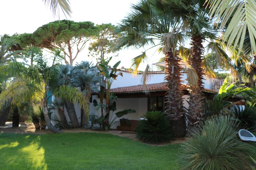 The garden