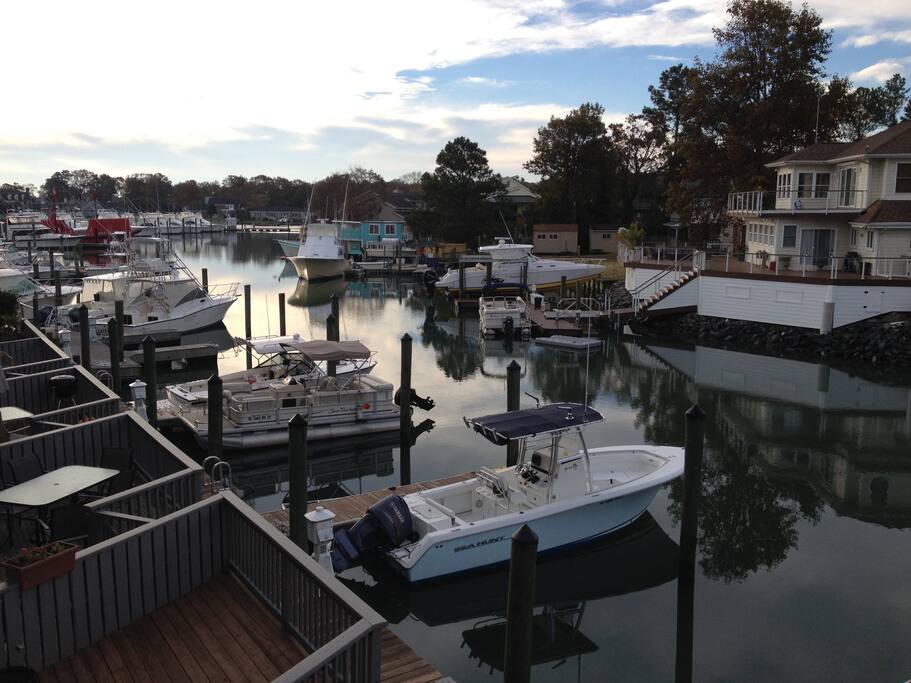 Top 100 Airbnb Rentals in Virginia Beach, Virginia