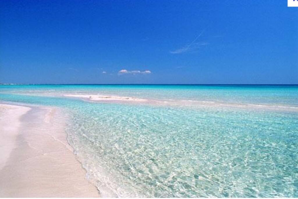 Il nostro mare cristallino e dai colori stupefacenti e la sabbia particolarmente chiara , non ha nulla da invidiare a mari stranieri di fama mondiale , visto che siamo rientrati nella lista delle più belle spiagge al mondo , stilata dal famoso Times