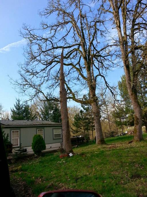 Rooms For Rent Molalla Oregon Rooms For Rent Molalla Oregon
