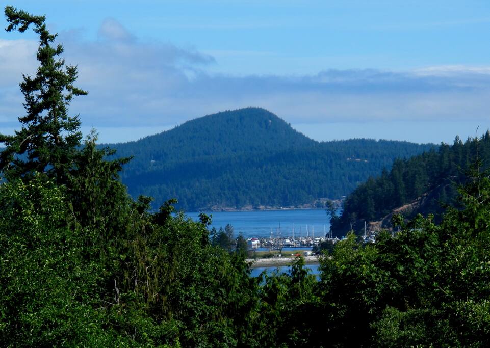 View from the Deck
