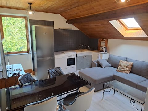 Apartment between lake and mountain