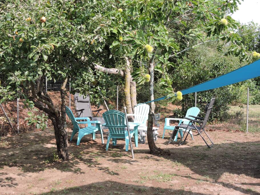 Détente au jardin