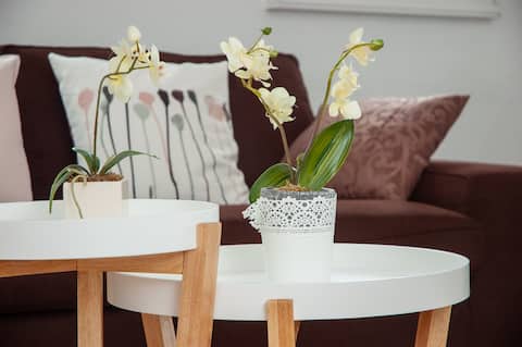Family-friendly apartment in Siegburg