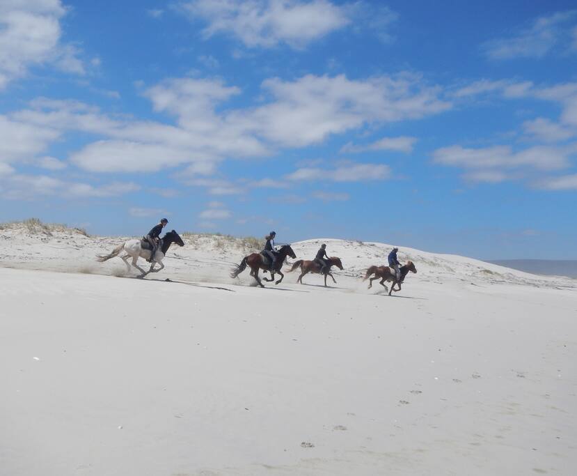 Beach rides