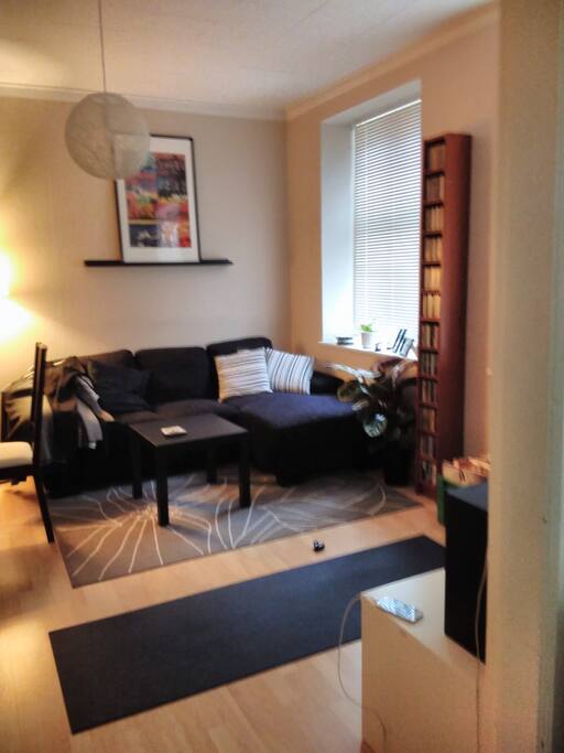 Stue. Plads til en person i sofa