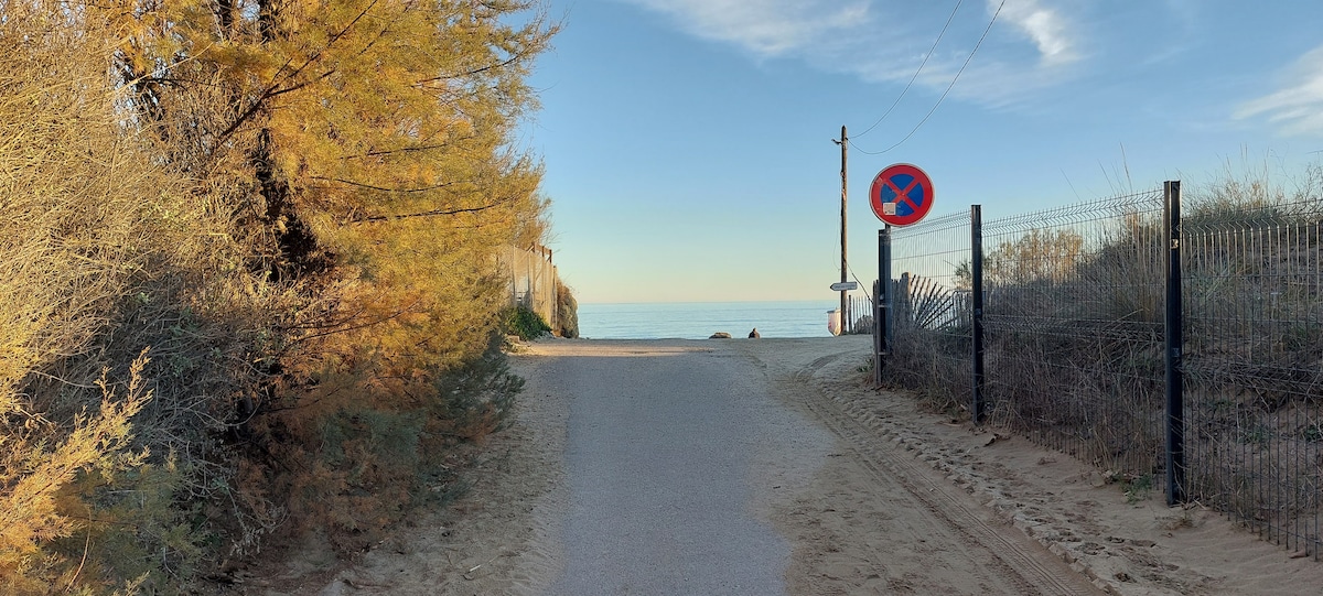 A sandy pathway leads towards a visible stretch of the sea, framed by lush green and golden foliage. A no-parking sign stands prominently along the side of the path, with telephone poles visible in the background against the clear sky.