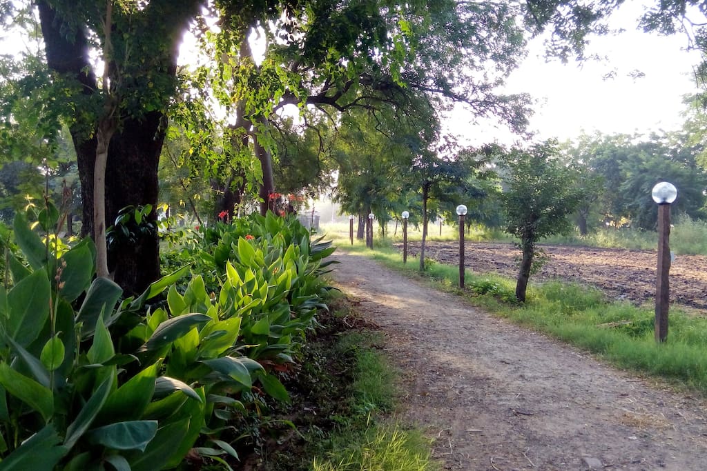 Virendra Bhawan farm Walks