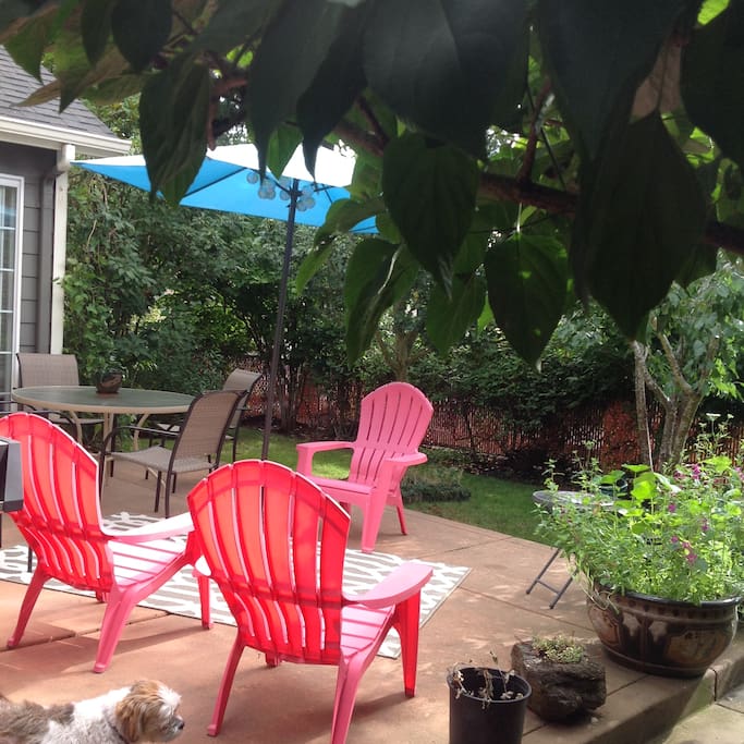 Shared Patio Space