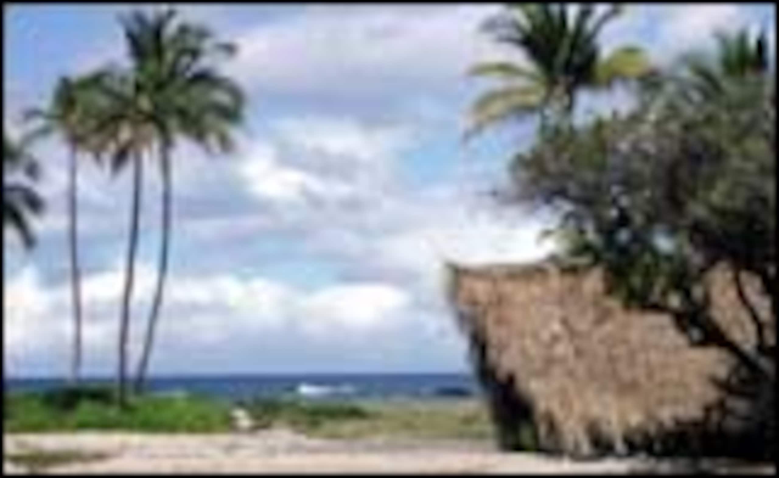 Condo in Kailua-Kona · ★5.0 · 1 bedroom · 2 beds · 1 bath - Image 5