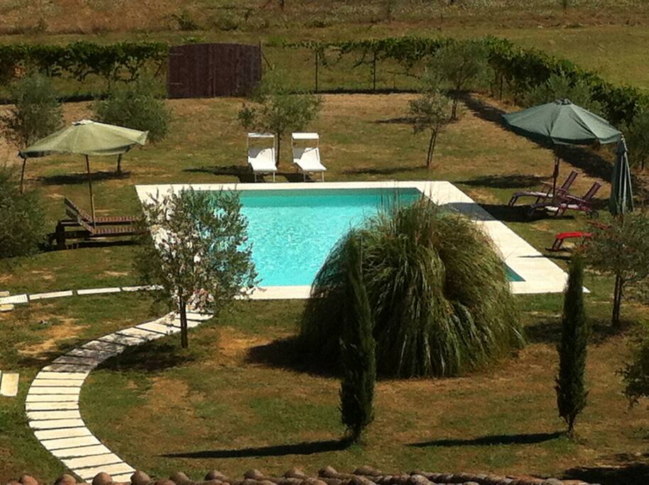 Giardino con piscina