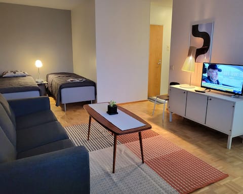 Apartment with sauna in the city center