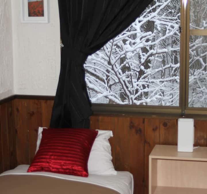 Every room has a view