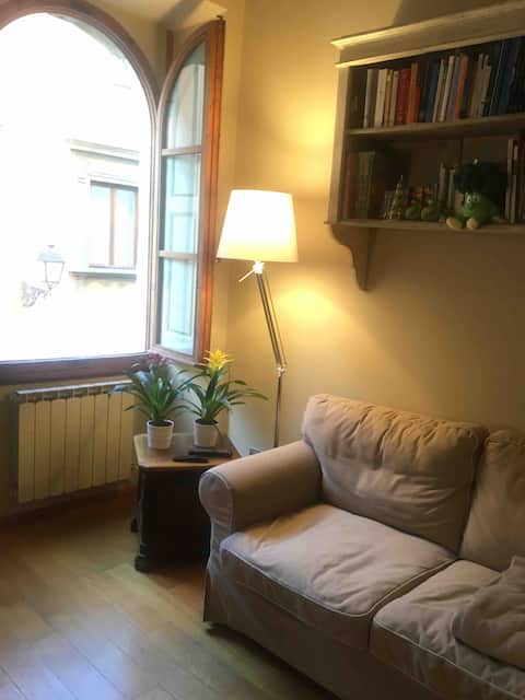 Top performing Airbnb: Lovely apartment in the heart of Chianti in San Casciano In Val Di Pesa