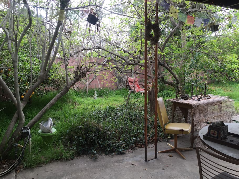 spacious back yard