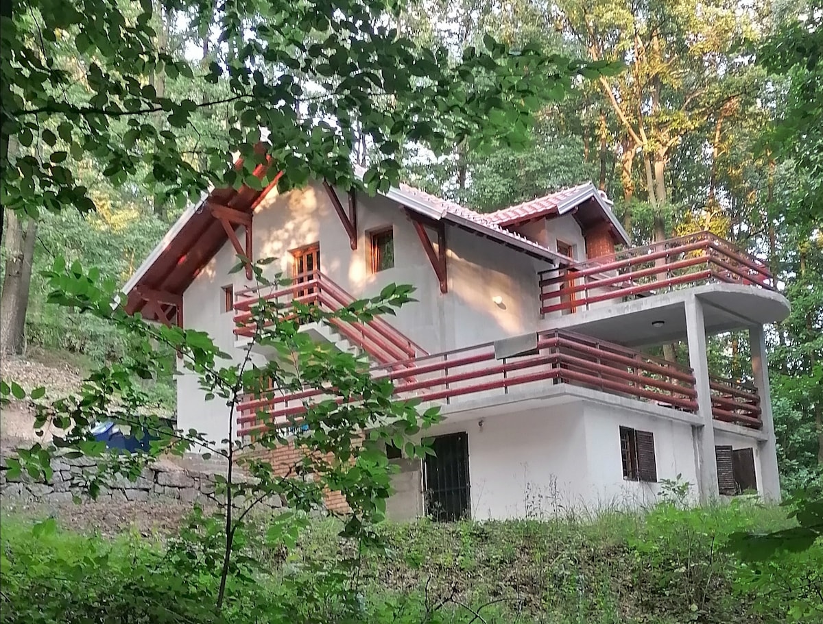 A mountain house is depicted, surrounded by lush green trees and situated on a sloped landscape. The structure features a combination of wooden and plaster elements, including multiple balconies with red railings. Sunlight filters through the leaves, enhancing the serene atmosphere of the forested environment.