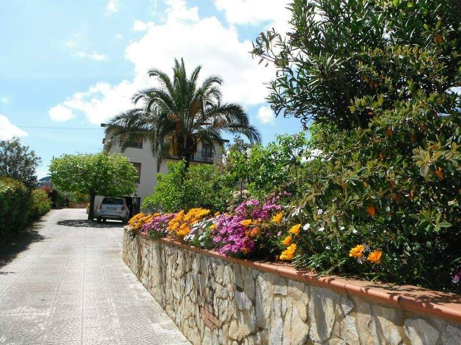 Viale ingresso