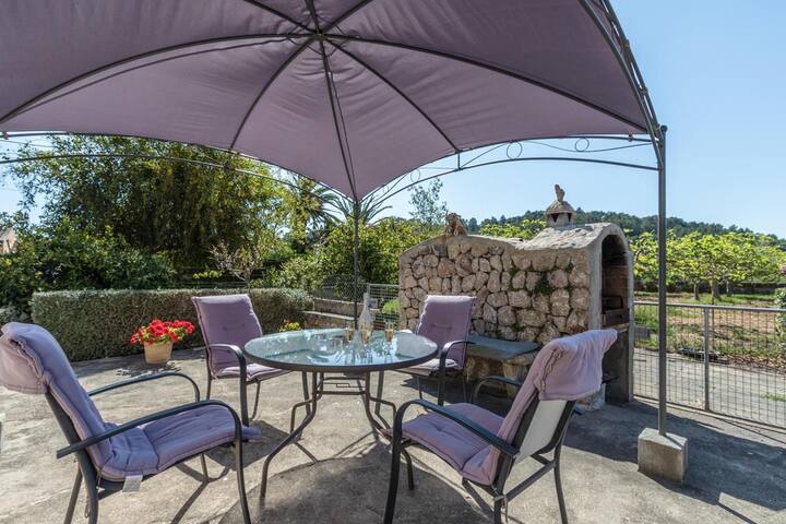 Catalina Petit gallery image 4