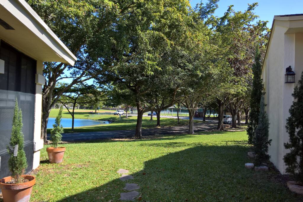 Backyard