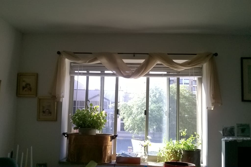 Sunny Window in Living room