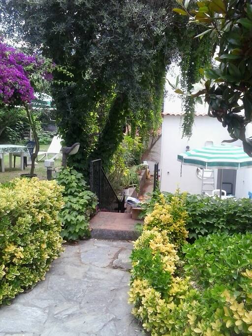 il viale di ingresso....