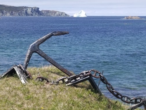 Ches's Anchor View / Entire Cottage Twillingate Houses for Rent in