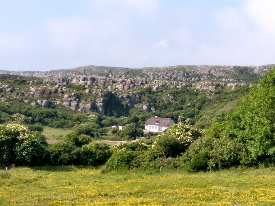 Nestled in The Burren
