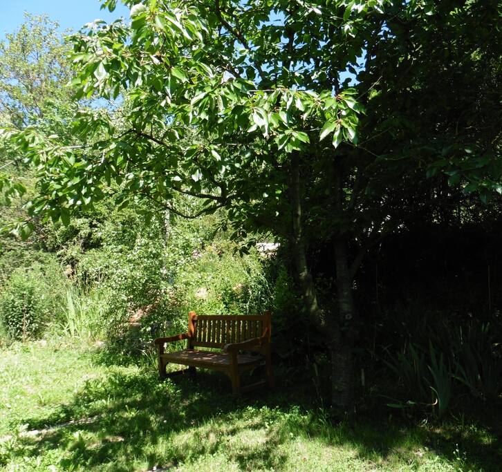 Jardín de la casa, se puede pasear y leer.