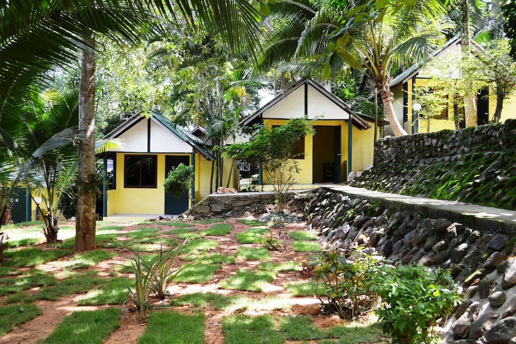 separate bungalows. garden setting