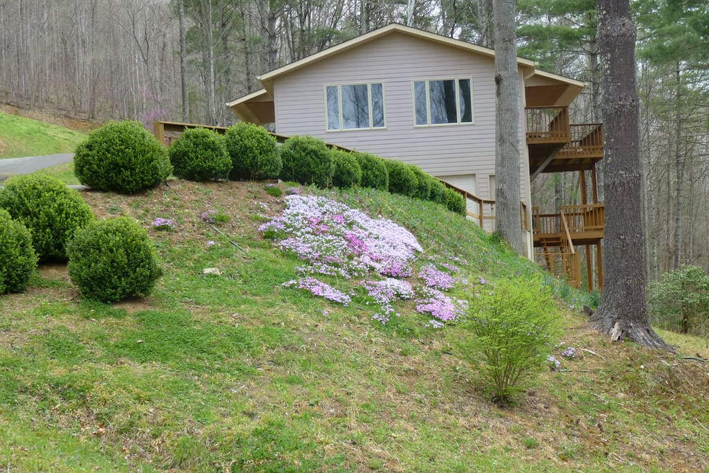 A view in the Spring