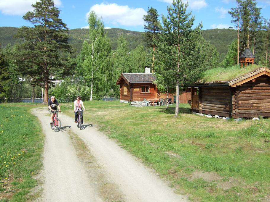 Damer Kvinne Søker Mann For Sex I Kveld Nord Fron