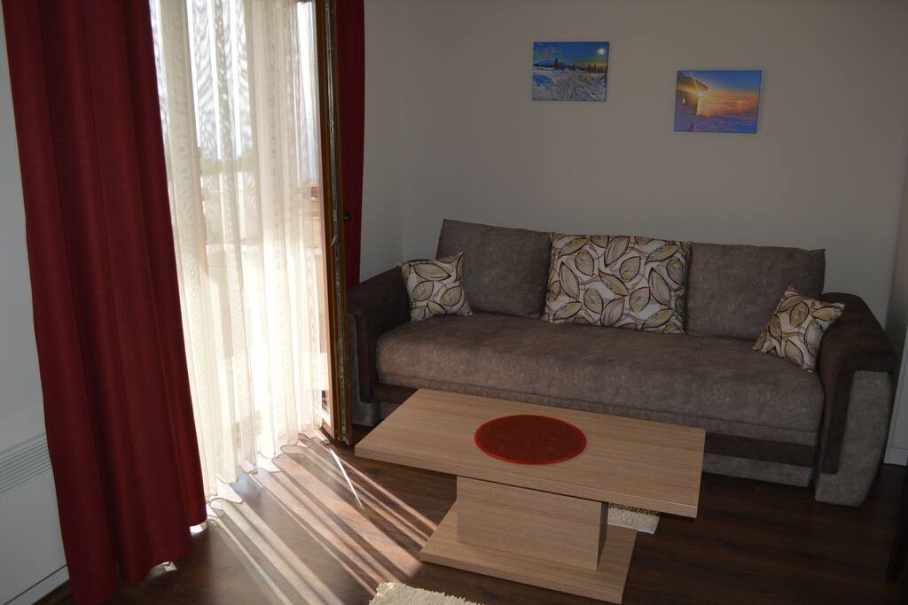 Living room and sofa bed.