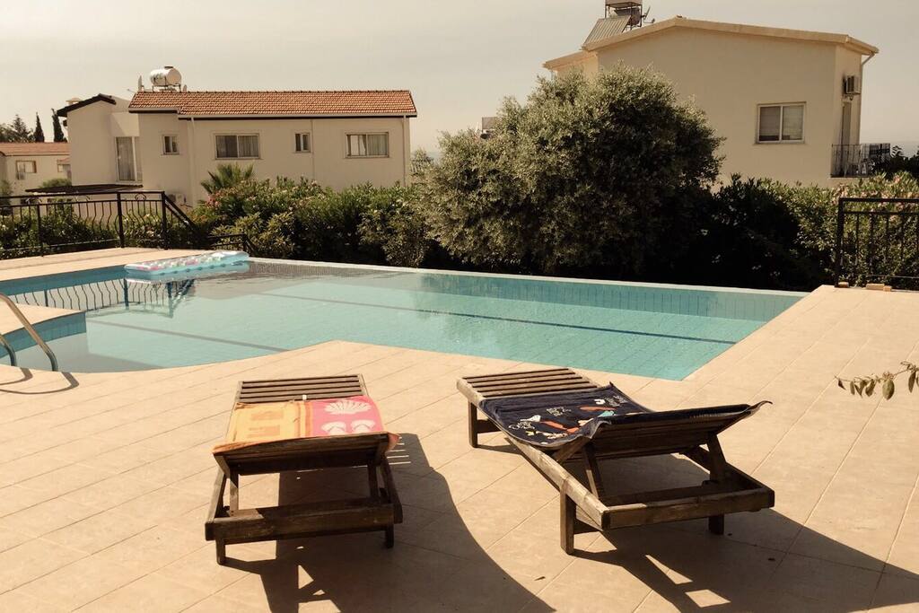 Back Garden Pool