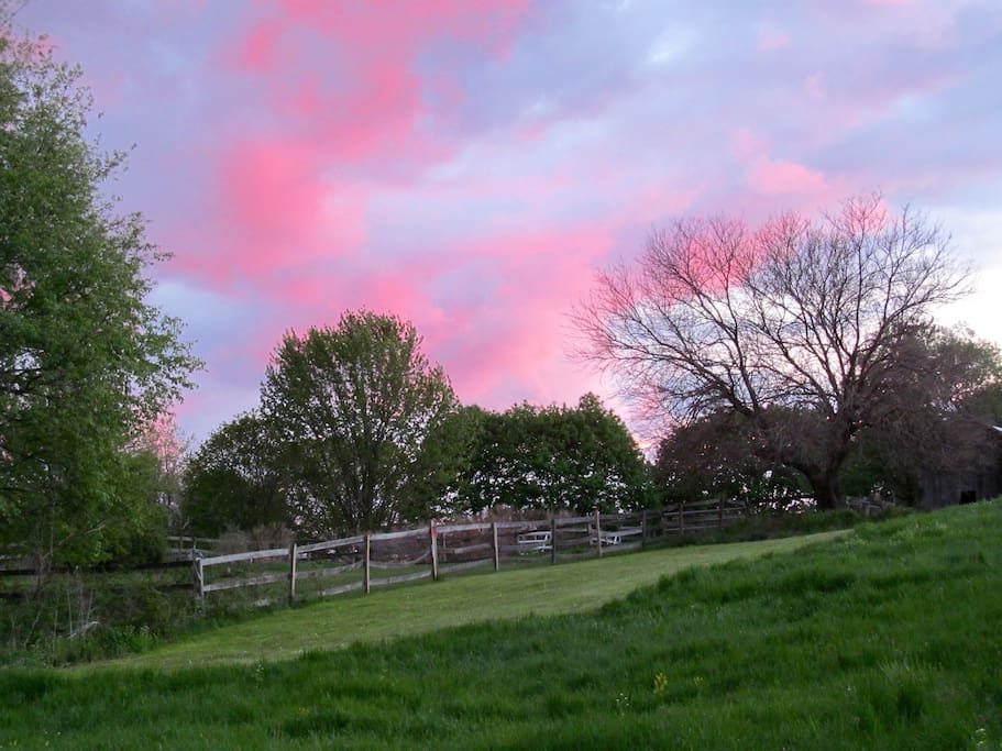 View of neighboring horse farm.