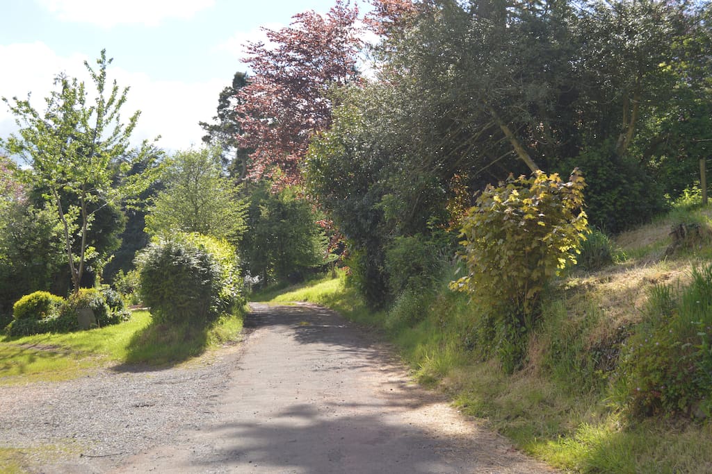 Driveway to the house