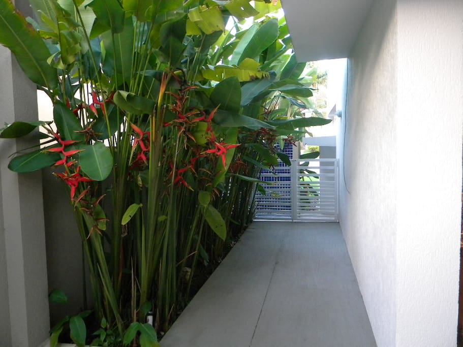 Entrada Lateral