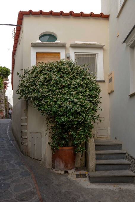 Facciata ed entrata della casa