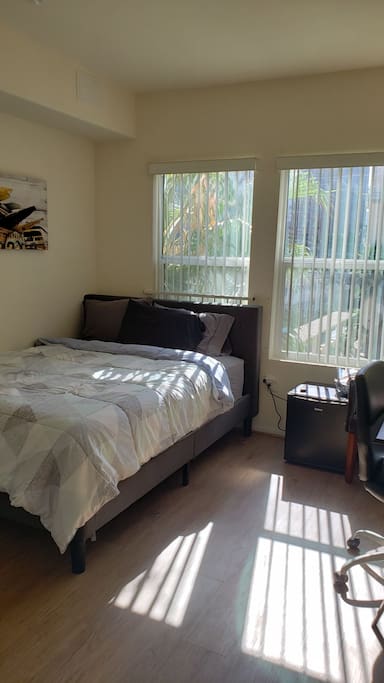 Private Bedroom with queen bed, desk, leather chair, mini fridge, closet, and extra blankets. I also have an extra twin & queen air mattresses to use on request.