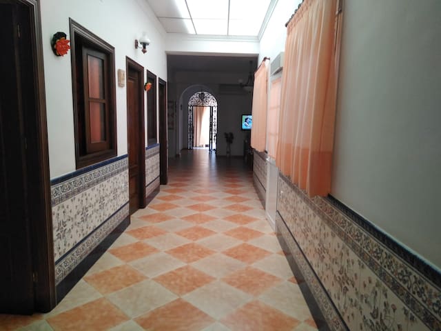 Casa 15 km El Rocío, Parque Doñana, Matalascañas