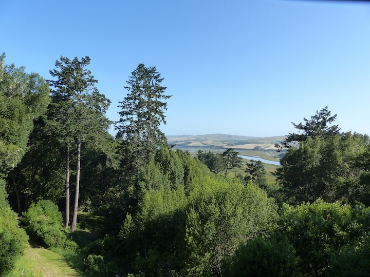 Point Reyes Station Vacation Rentals House and Cottage Rentals Airbnb