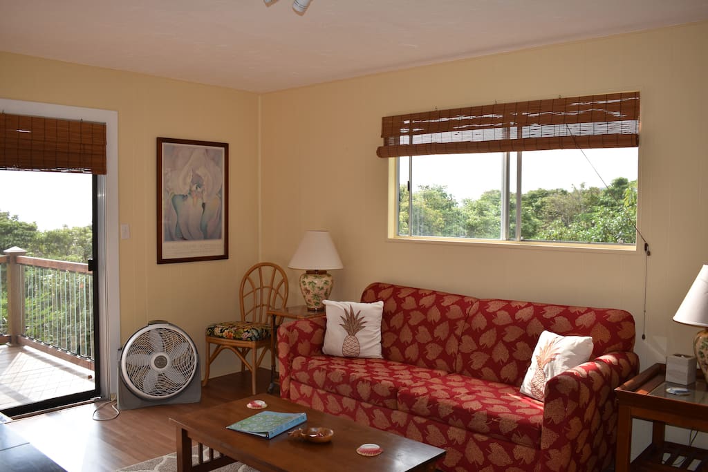 Living room with pullout couch.