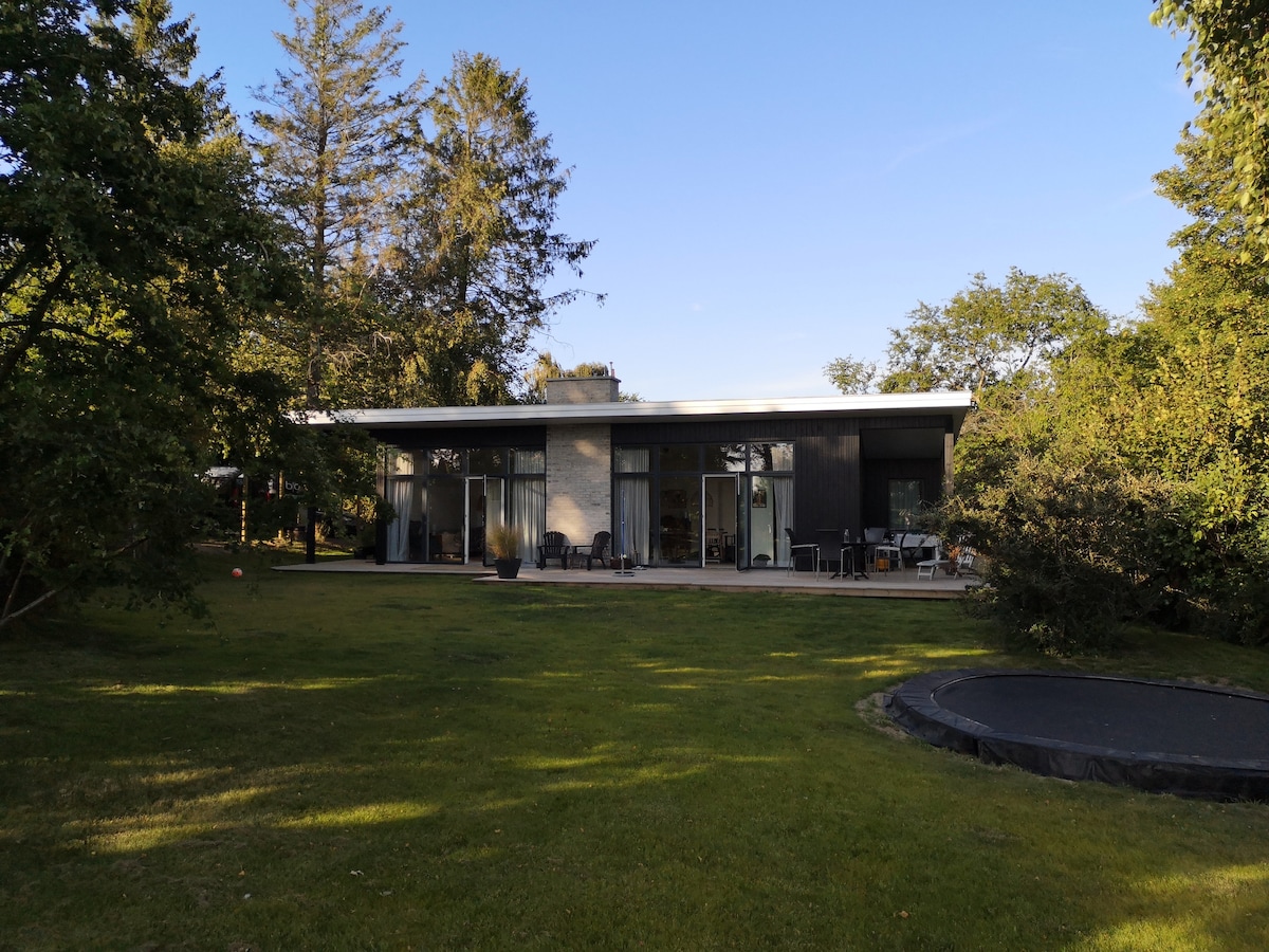 A modern summer house is set amidst lush greenery, featuring a spacious patio area and large sliding glass doors. Sunlight highlights the clean lines of the architecture, framed by trees and a manicured lawn, providing a serene outdoor space.