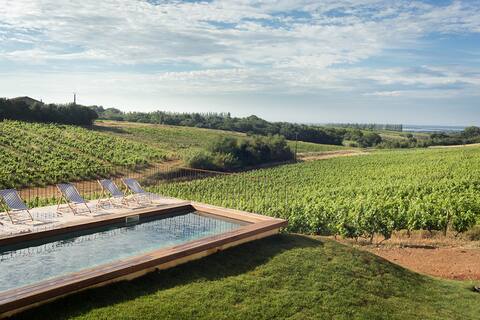 mas in the heart of a winery in AB