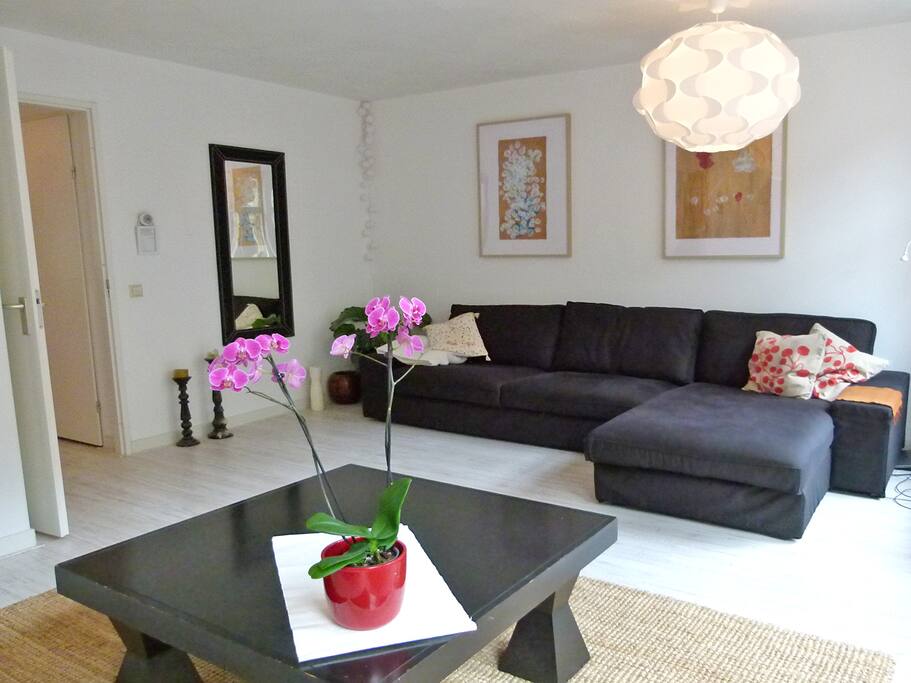 Long Sofa with chaise long.