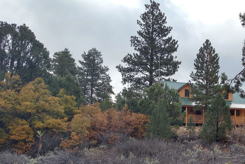 Front of cabin