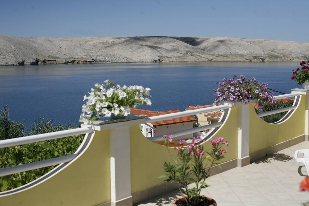 The terrace